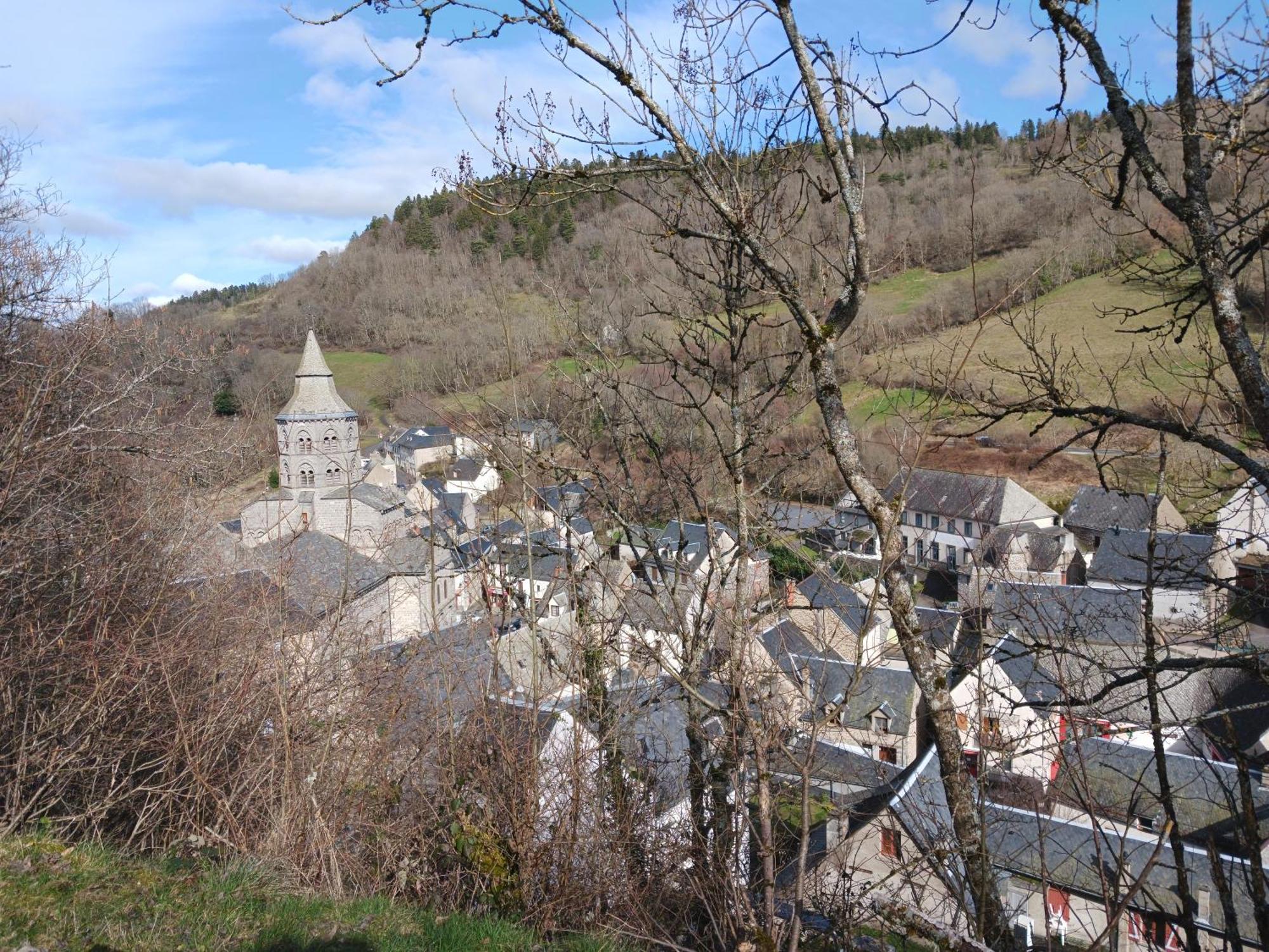 Gite Les Bois Orcival Exterior photo